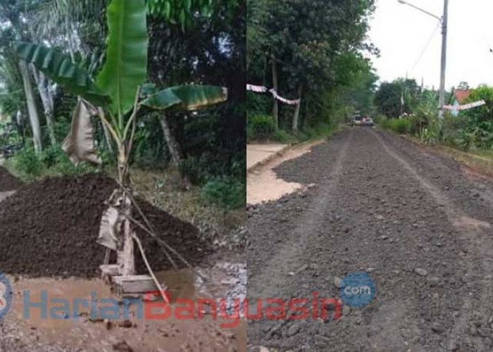 Sempat Ditanam Pohon Pisang, Akhirnya Jalan Sang Aji Dilakukan Perbaikan