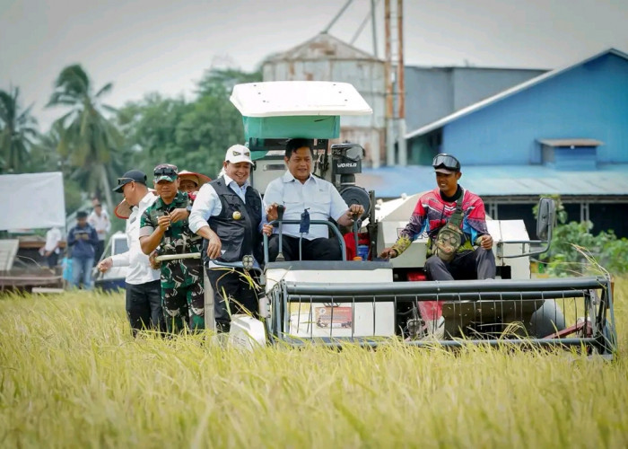 Wamen Transmigrasi Turun Langsung Panen Raya di Banyuasin, Salurkan Bantuan Rp100 Juta