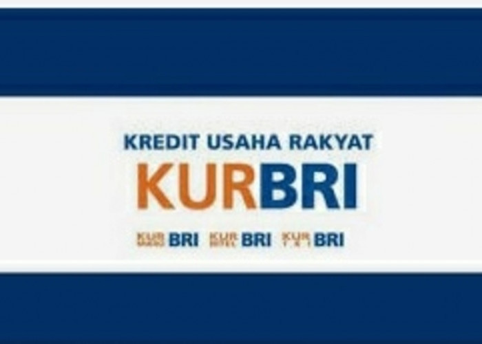 Ingin Ajukan KUR di Bank BRI? Berikut Panduan Agar Pinjaman Bisa Cair