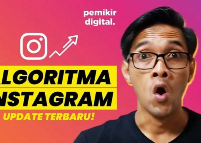 Rahasia Riset Algoritma Instagram agar Konten Lebih Variatif dan Menarik