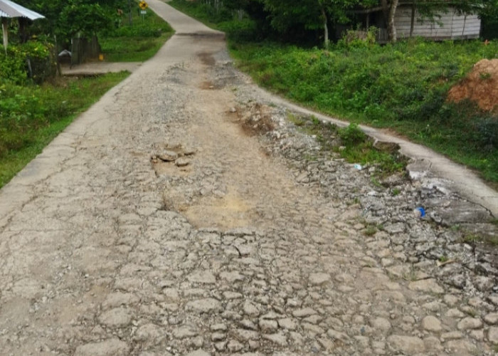 Jalan Ini Rusak Tak Kunjung Diperbaiki, Warga Mengeluh