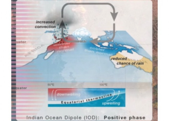 Langit Cerah Berkepanjangan, Waspada IOD: Fenomena Tersembunyi di Balik Kemarau Ekstrem