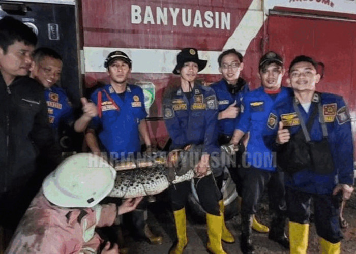 Darno Penemu Buaya di Banyuasin Sumatera Selatan, Ternyata Ketua RW, Begini Cerita Lengkapnya