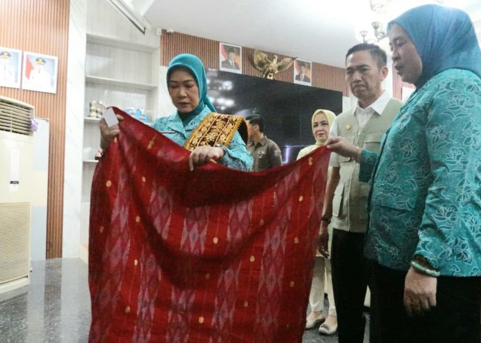 Ketua TP PKK Sumsel Kunker di Palembang, Perkuat Sinergi PKK dan Dekranasda untuk Rawat Produk Lokal