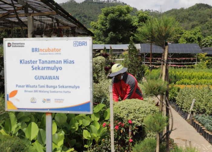 Perkuat Ekonomi Kerakyatan, BRI Berdayakan 41 ribu Klaster Usaha melalui Pembiayaan dan Literasi Keuangan