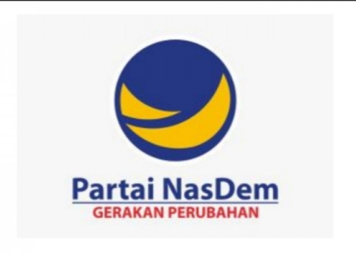 Ini Daftar Bacaleg DPRD Banyuasin dari Partai NasDem yang Namanya Tercantum dalam DCS
