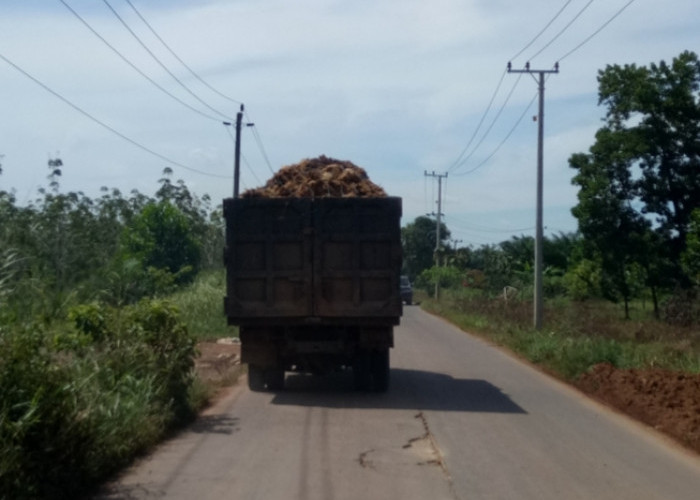 Tirto Sari-Sidomulyo tak Kunjung Terang 