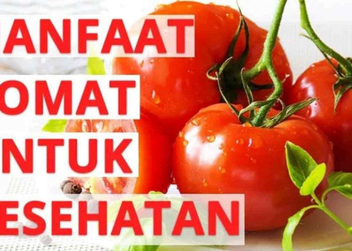 6 Manfaat Tomat bagi Kesehatan, Lebih dari Sekadar Bahan Dapur!