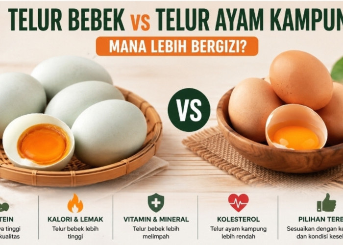 Telur Bebek vs Telur Ayam Kampung: Adu Protein, Vitamin, Kolesterol, dan Manfaatnya