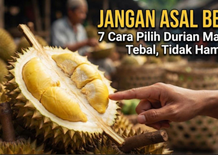 Jangan Asal Beli! Ini 7 Cara Memilih Durian Manis, Tebal, dan Tidak Hambar