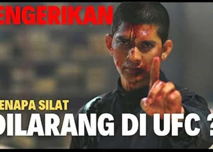 Ini Alasan Silat Gak Masuk UFC Sejarah, Aturan, dan Pro-Kontranya