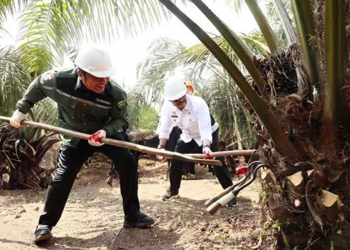 Sumsel Penyangga Pangan Nasional, Mentan RI Minta Sumsel Siap Antisipasi Dampak El Nino