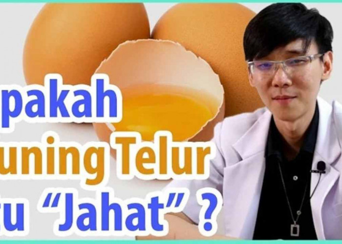 Menilik 6 Manfaat Kuning Telur untuk Kesehatan