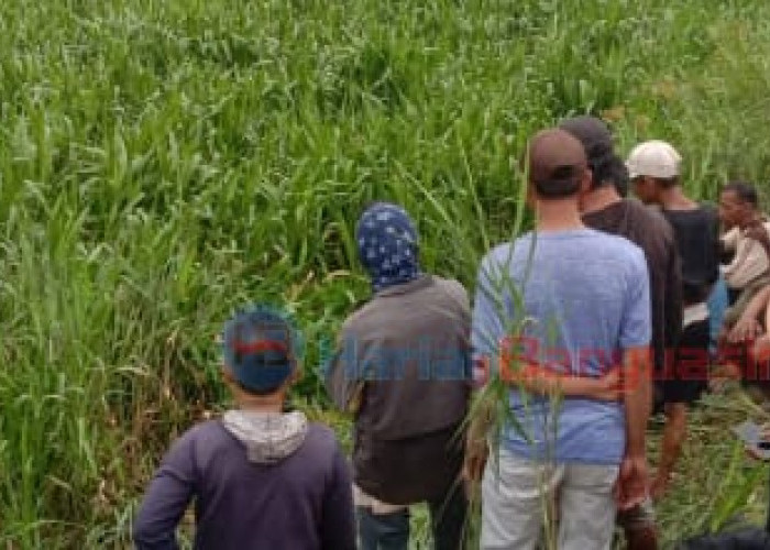 Warganya Dimangsa Buaya, Begini Ungkapan Bupati Banyuasin