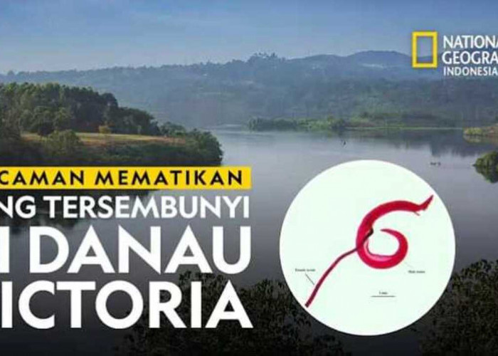 Terlihat Tenang, Tapi Mematikan! Rahasia Gelap Danau Victoria!