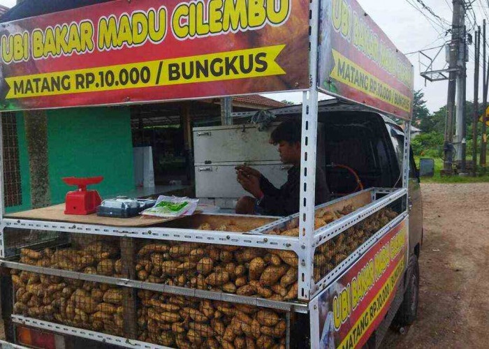 Nikmati Kelezatan Ubi Cilembu di Depan Kuliner Pangkalan Balai