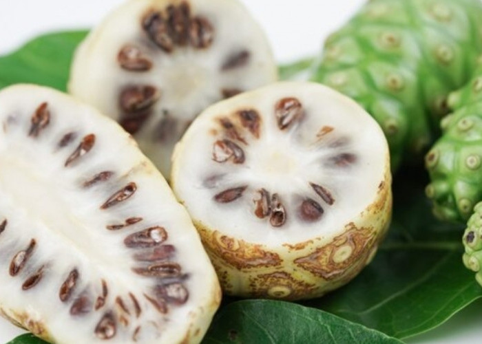 Penderita Diabetes Wajib Tahu! Ini Manfaat Mengkudu untuk Kontrol Gula Darah