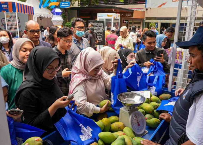 Diberdayakan BRI, Petani Mangga Bondowoso Mampu Perluas Lahan dan Tingkatkan Taraf Hidup