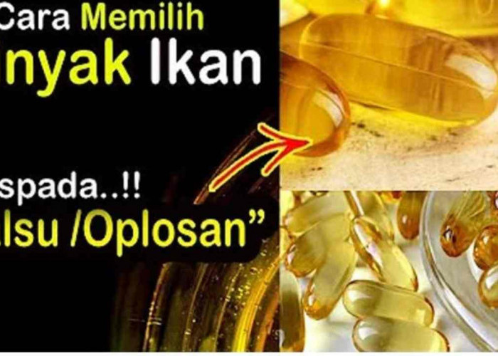 Anti Salah Pilih! Begini Cara Cerdas Pilih Minyak Ikan Terbaik buat Tubuh Sehat!