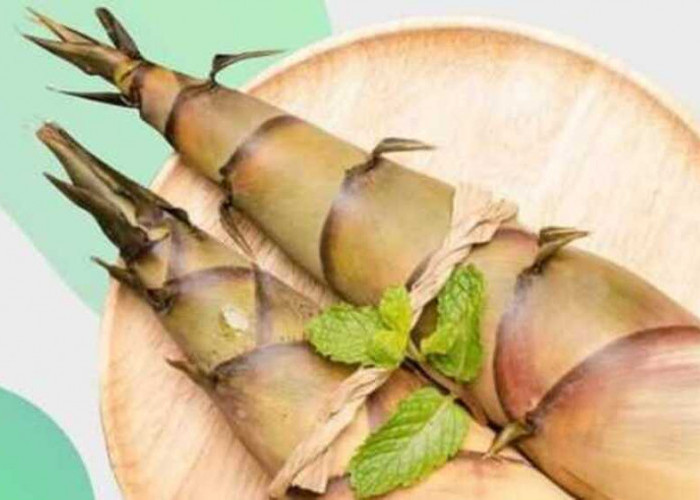 Pecinta Sayur Rebung, Ketahuilah 5 Manfaat si Tunas Bambu