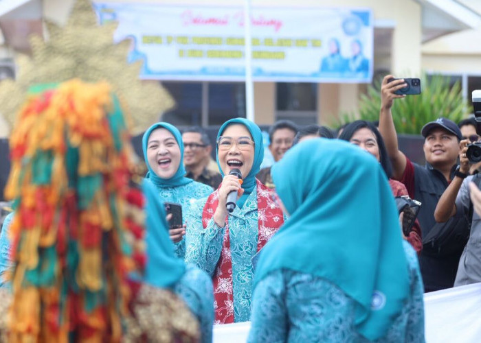 Ketua TP PKK Sumsel Evaluasi 10 Program Pokok PKK di OKU