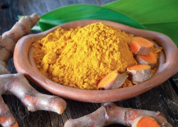 Temulawak, Imunomodulator Alami untuk Daya Tahan Tubuh yang Lebih Kuat