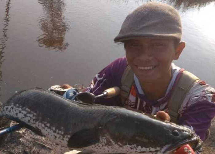7 Jenis Ikan Yang Jadi Incaran Pemancing di Banyuasin Saat Musim Hujan