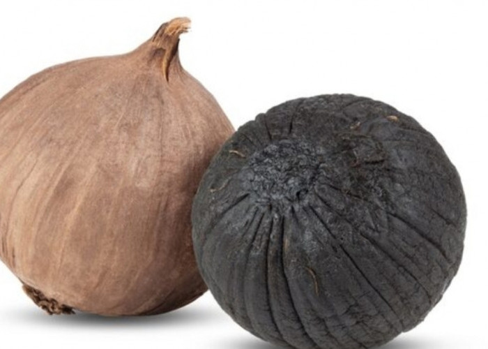 Musim Pancaroba Datang? Bawang Hitam Bisa Jadi Tameng Alami Tubuhmu!