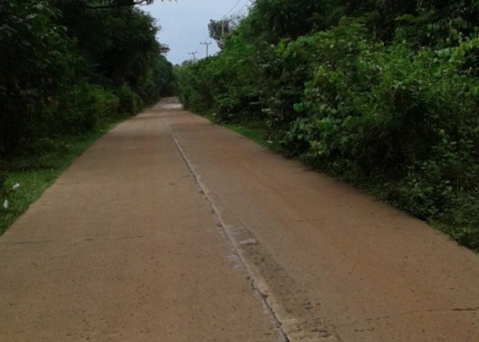 Jalan Rambutan-Tanjung Kerang Gelap Gulita