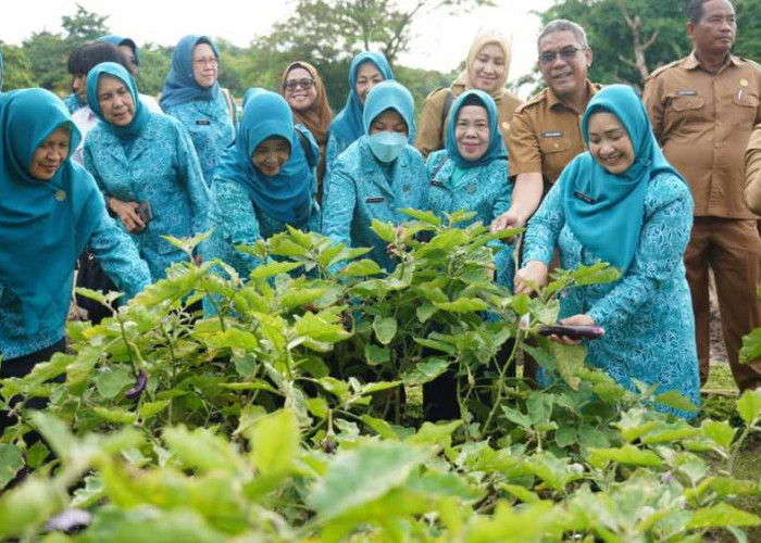 Edukasi Tekan Laju Inflasi, Pj Ketua TP PKKK Sumsel Tyas Fatoni Panen Sayur di Kitchen Garden JSC Palembang