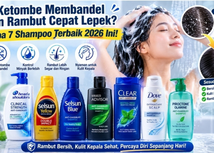 Ketombe Membandel dan Rambut Cepat Lepek? Coba 7 Shampoo Terbaik 2026 Ini