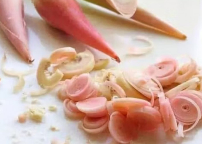 Sering Jadi Lalapan, Ini Deretan Khasiat Kecombrang yang Jarang Diketahui