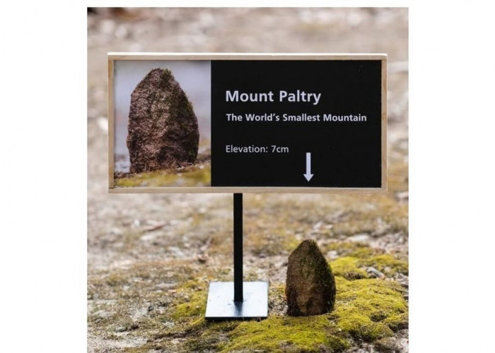 Bikin Heboh! Mount Paltry Dijuluki Gunung Paling Kecil di Dunia, Tingginya Cuma 7 Cm
