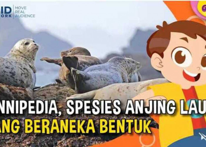 Kenapa Kumis Anjing Laut Bisa Jadi Teknologi Canggih? Temukan Rahasianya!