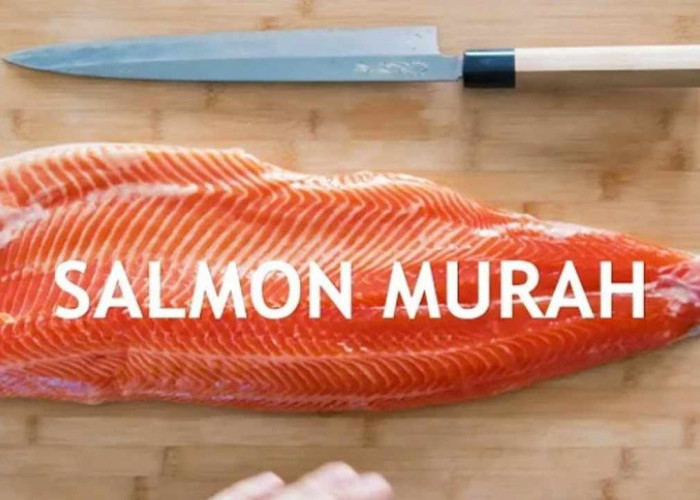 Harga Salmon Makin Mahal! Masih Bisa Jadi Menu Harian?