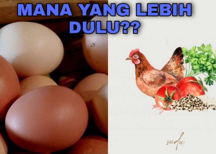 Penasaran Pada Teka Teki Filosofis Tentang Duluan Ayam VS Telur, Yang Mana Menurut Kalian ?