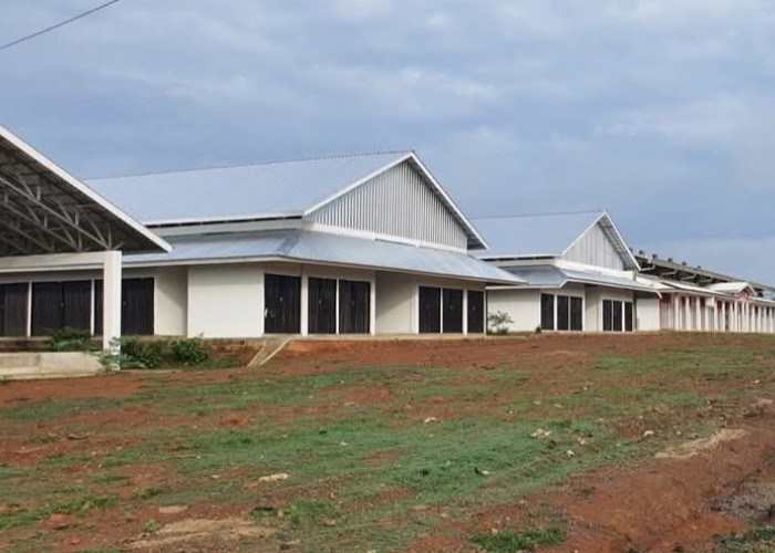 Pemindahan Pasar Pangkalan Balai: Pro dan Kontra