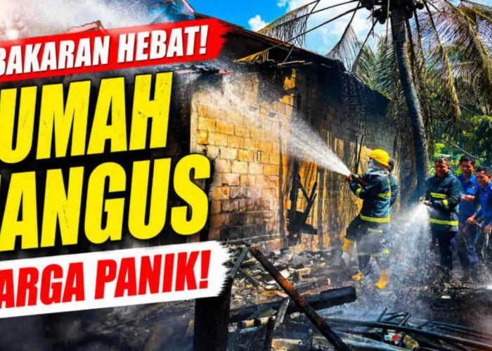 Api Mengamuk di Pangkalan Balai, Damkar Banyuasin Bergerak Cepat Cegah Kebakaran Meluas