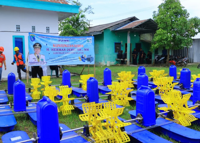 Herman Deru Optimalkan Tambak Udang OKI, Serahkan Kincir dan Perkuat Infrastruktur Listrik untuk Go Export