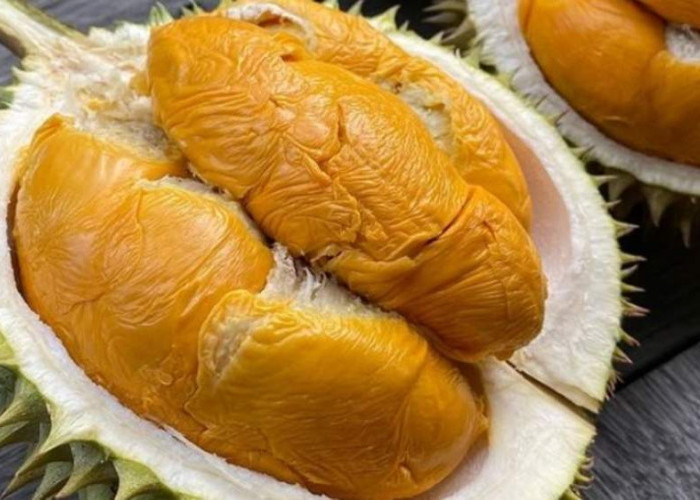 7 Fakta Buah Durian, Nomor 6 Belum Banyak Yang Tahu