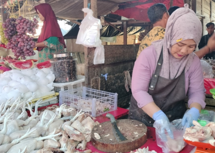 Harga Ayam Broiler Tembus Rp45 Ribu, Emak-emak di Pangkalan Balai Mengeluh