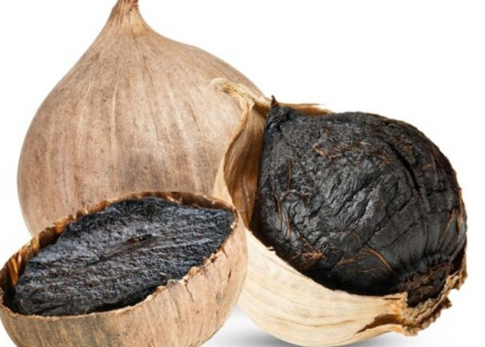 Tak Sekadar Bumbu Dapur, Bawang Hitam Disebut Punya Khasiat Anti-Kanker!