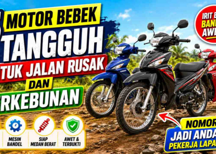5 Motor Bebek Tangguh untuk Jalan Rusak dan Perkebunan, Nomor 3 Jadi Andalan Pekerja Lapangan!