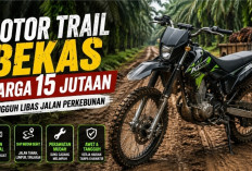 5 Motor Trail Bekas Harga 15 Jutaan, Tangguh Melibas Jalan Kebun Sawit