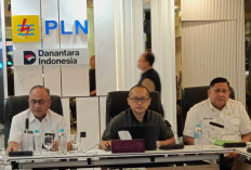 Herman Deru Percepat Listrik Masuk Desa, Gandeng Kementerian Kehutanan dan PLN