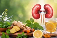 5 Ramuan Herbal Alami yang Dipercaya Ampuh Menjaga Kesehatan Ginjal, No 3 Banyak Dicari tapi Jarang Diketahui