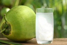 Benarkah Ibu Hamil Minum Air Kelapa Bisa Membuat Kulit Bayi Putih? Ini Faktanya