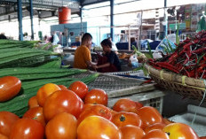 Jelang Ramadhan Harga Sembako Stabil