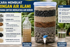 Cara Membuat Saringan Air Alami Sederhana untuk Mengatasi Air Keruh, Bau, dan Berwarna Kuning