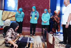 Feby Herman Deru Evaluasi Program PKK dan Luncurkan Aplikasi Kriya Linggau